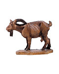 Goat looking down (21301-) 