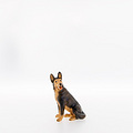 Shepherd dog sitting (22051-A) 