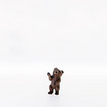 Young baer climbing (23002-A) (0,00