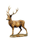 Deer (23003-) (0,00