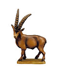 Stambecco (23004-) 