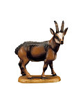 Camoscio (23005-) 