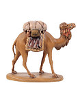 Camel (24020-) 