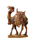 Camel (24021-) 