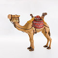 Camel (24024-A) (0,00