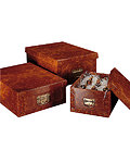 Case (32000-) (0,00