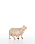 Sheep (10000-22) 