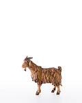 He - goat (10000-39) 