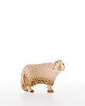 Sheep looking to one side (10200-15) 