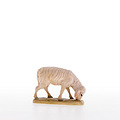 Sheep grazing (21001) 