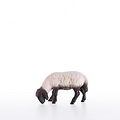 Sheep grazing with black head (21201-AS) 