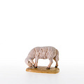 Sheep grazing (21201) 