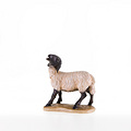 Sheep with black head (21203-S) 