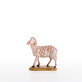 Sheep standing (21205) 