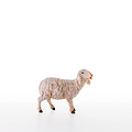 Sheep standing (21206-A) 