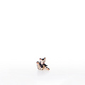 Gattino che si lecca la coda (22107-A) 