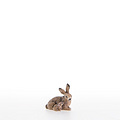 Hare (22150) 