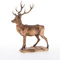 Deer (23003) 