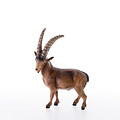 Ibex (23004-A) 