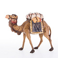 Camel (24020) 