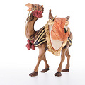 Camel (24021) 