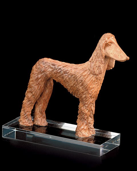 Afghan greyhound(with pedest. in plexi) (00504) (0,00", ?)