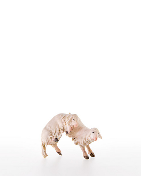 Lambs jumping for joy (10000-28) (0,00", ?)