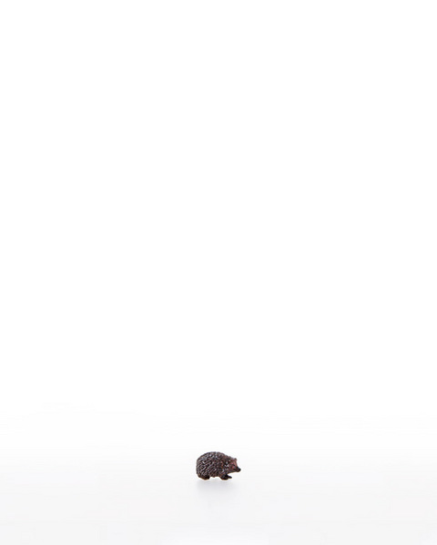 Hedgehog (10200-39) (0,00", ?)