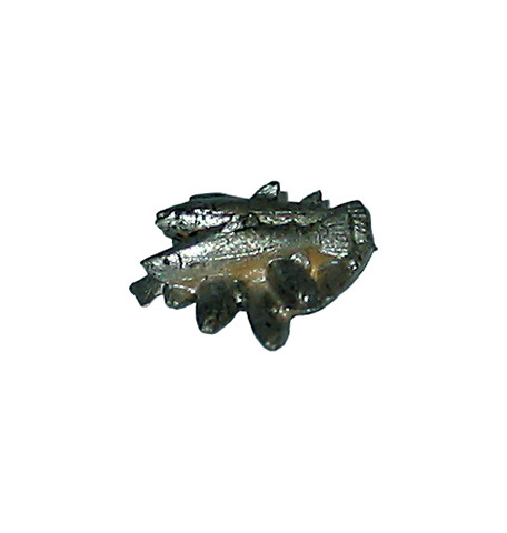 Gruppo pesci (10900-54G) (0 cm, ?)