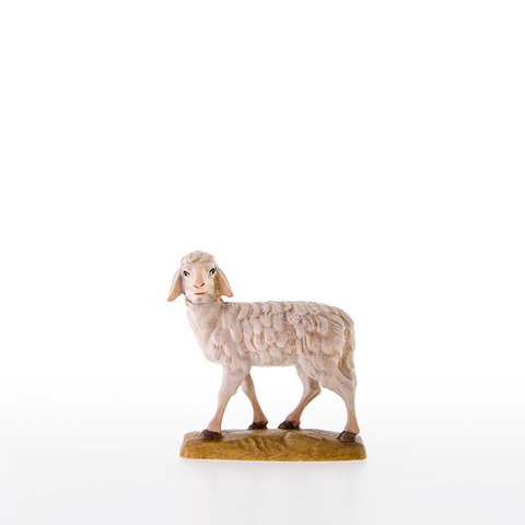 Sheep (21000) (0,00", ?)