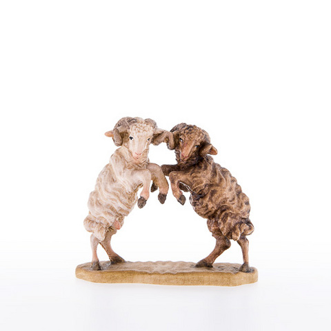 Pair of rams fighting (21178) (0,00", ?)