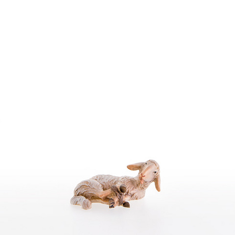 Sheep lying-down(apr.for Sheph.10701/51) (21211) (0,00", ?)
