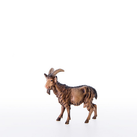 Goat (21300-A) (0,00", ?)