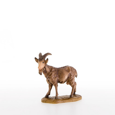 Goat (21300) (0,00", ?)