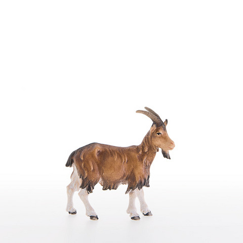 Goat (21305-A) (0,00", ?)