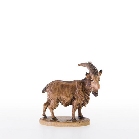 He-goat (21379) (0,00", ?)