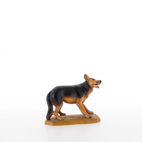 Shepherd dog (22052) (0,00", ?)