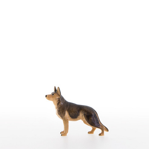 Shepherd dog (22053) (0,00", ?)