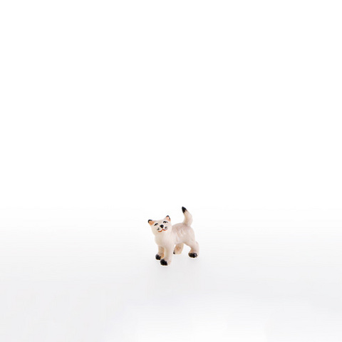 Gattino che guarda insu (22105-A) (0 cm, ?)