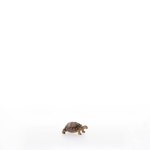 Tartaruga (22200-A) (0 cm, ?)