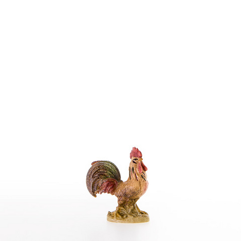 Gallo (22400) (0 cm, ?)