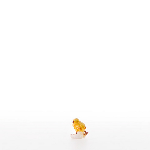 Chick in egg-shell (22407) (0,00", ?)