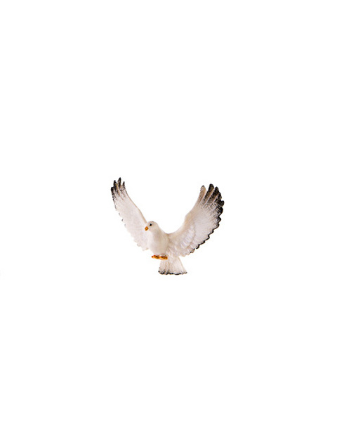 Taube mit Schwanz nach unten (22451) (0 cm, ?)