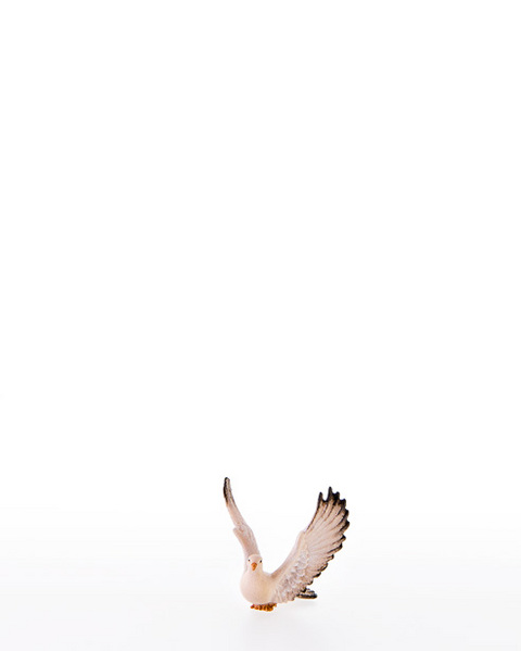 Taube mit Fluegel nach oben (22453) (0 cm, ?)