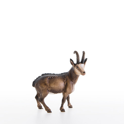 Chamois (23005-A) (0,00", ?)