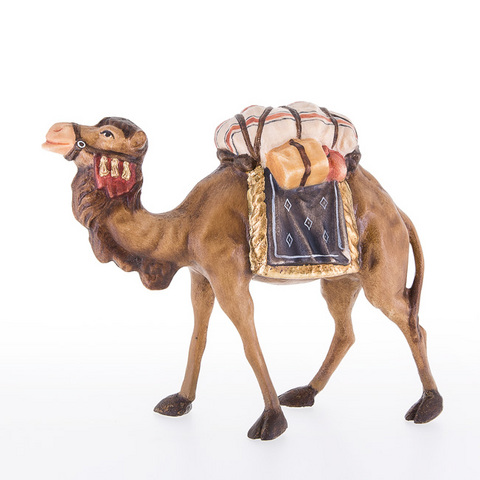 Camel (24020) (0,00", ?)