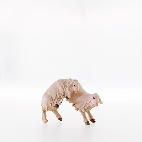 Lambs jumping for joy (10000-028) (0,00", ?)