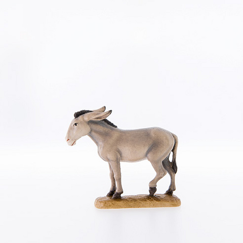 Esel (20005--) (0 cm, ?)