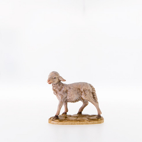 Sheep standing (21006--) (0,00", ?)