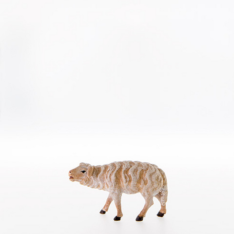 Sheep standing (21100--) (0,00", ?)